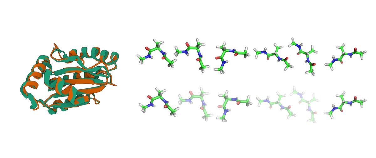 A generated protein structure overlaid on its reference, beside generated peptide conformers.
